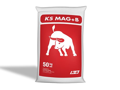 KS MAG + B