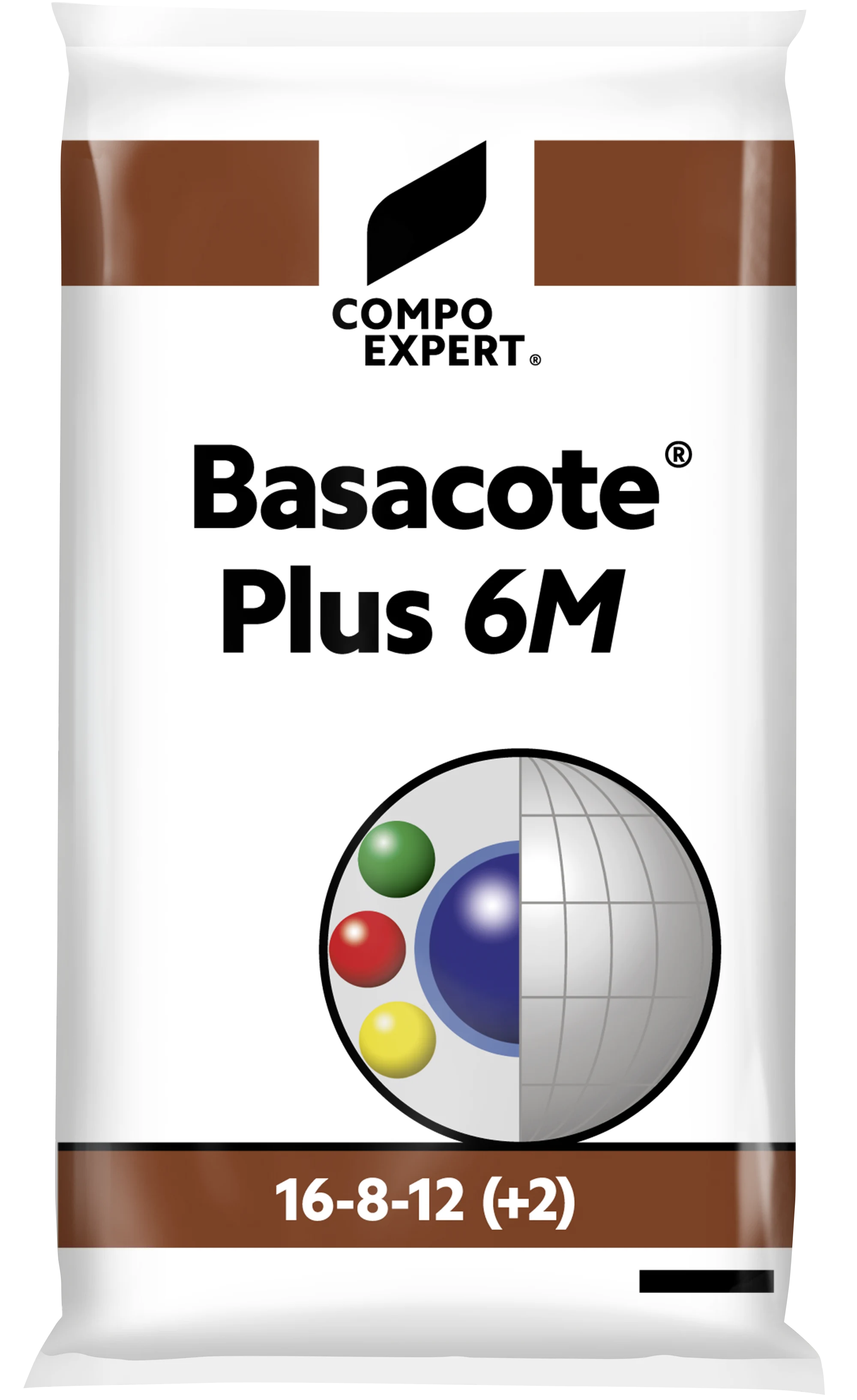 BASACOTE 6 M