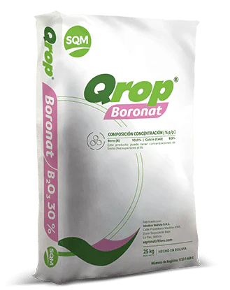 QROP BORONAT